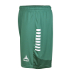 Шорти SELECT Spain v25 player shorts Green